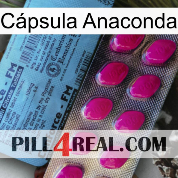 Cápsula Anaconda 35.jpg